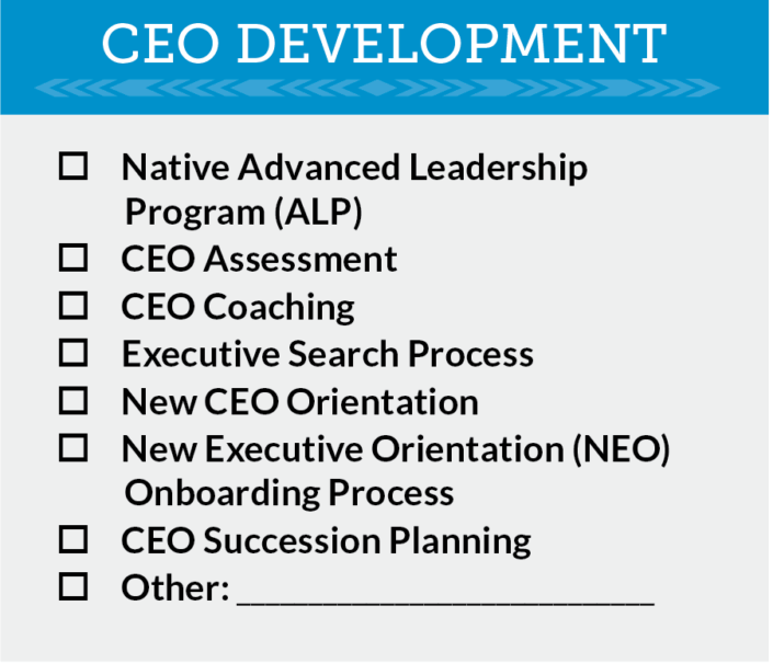 CEO Development